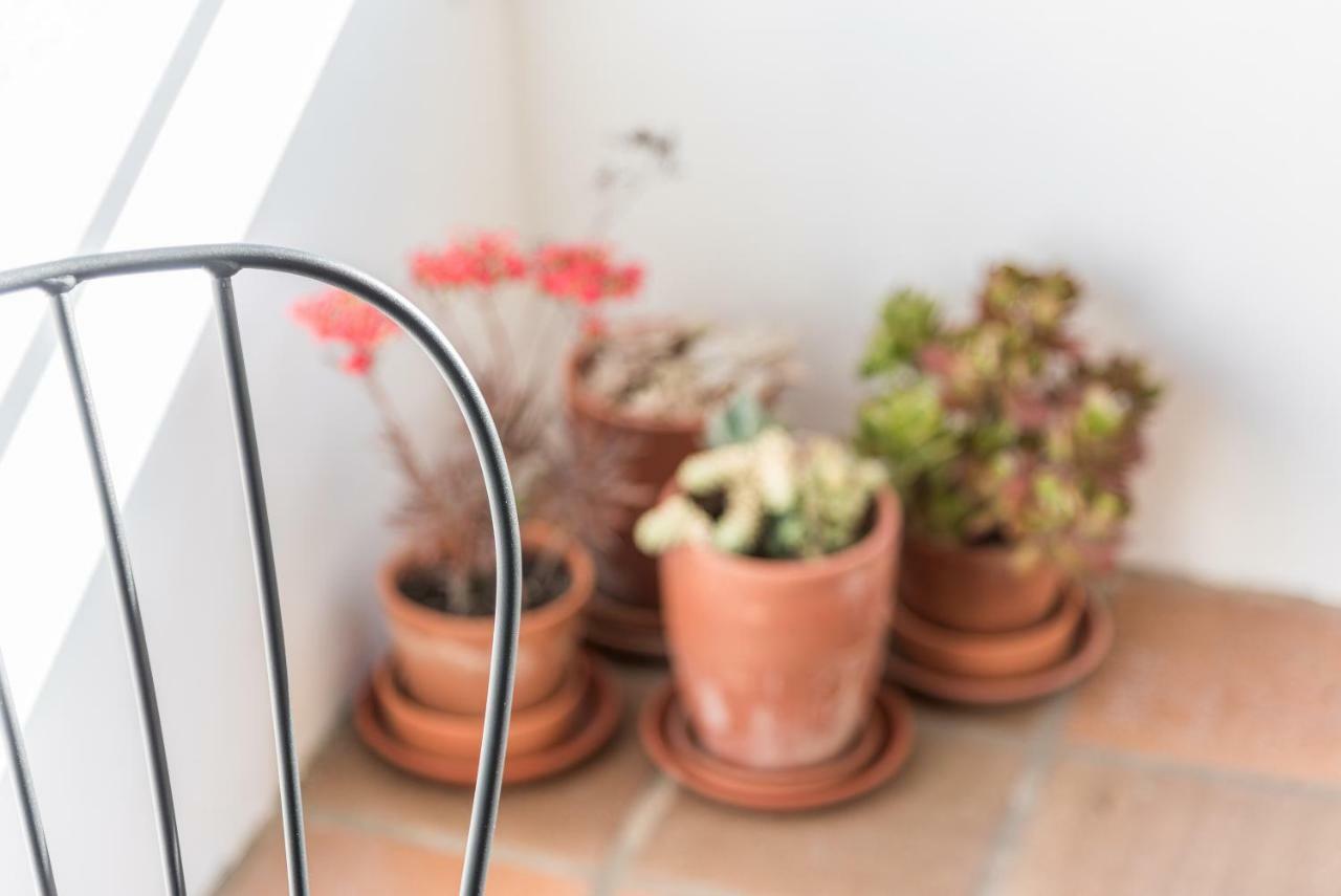 Guestready - Cactus Balcony - Free Private Parking Apartment Porto Bagian luar foto